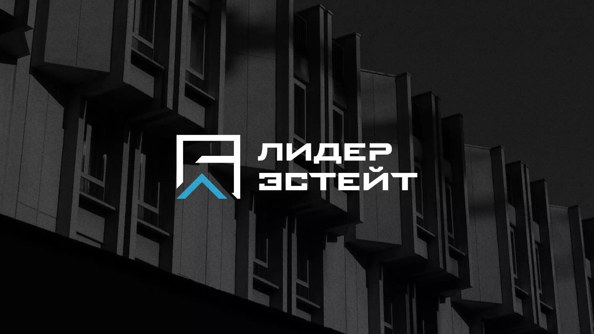 Разработка логотипа агентства недвижимости «Лидер Эстейт» в Кологриве